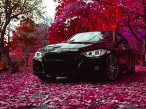 Превью обои bmw f30 335i, bmw, машина, черный, вид спереди