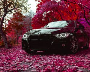 Превью обои bmw f30 335i, bmw, машина, черный, вид спереди