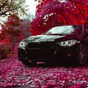 Превью обои bmw f30 335i, bmw, машина, черный, вид спереди