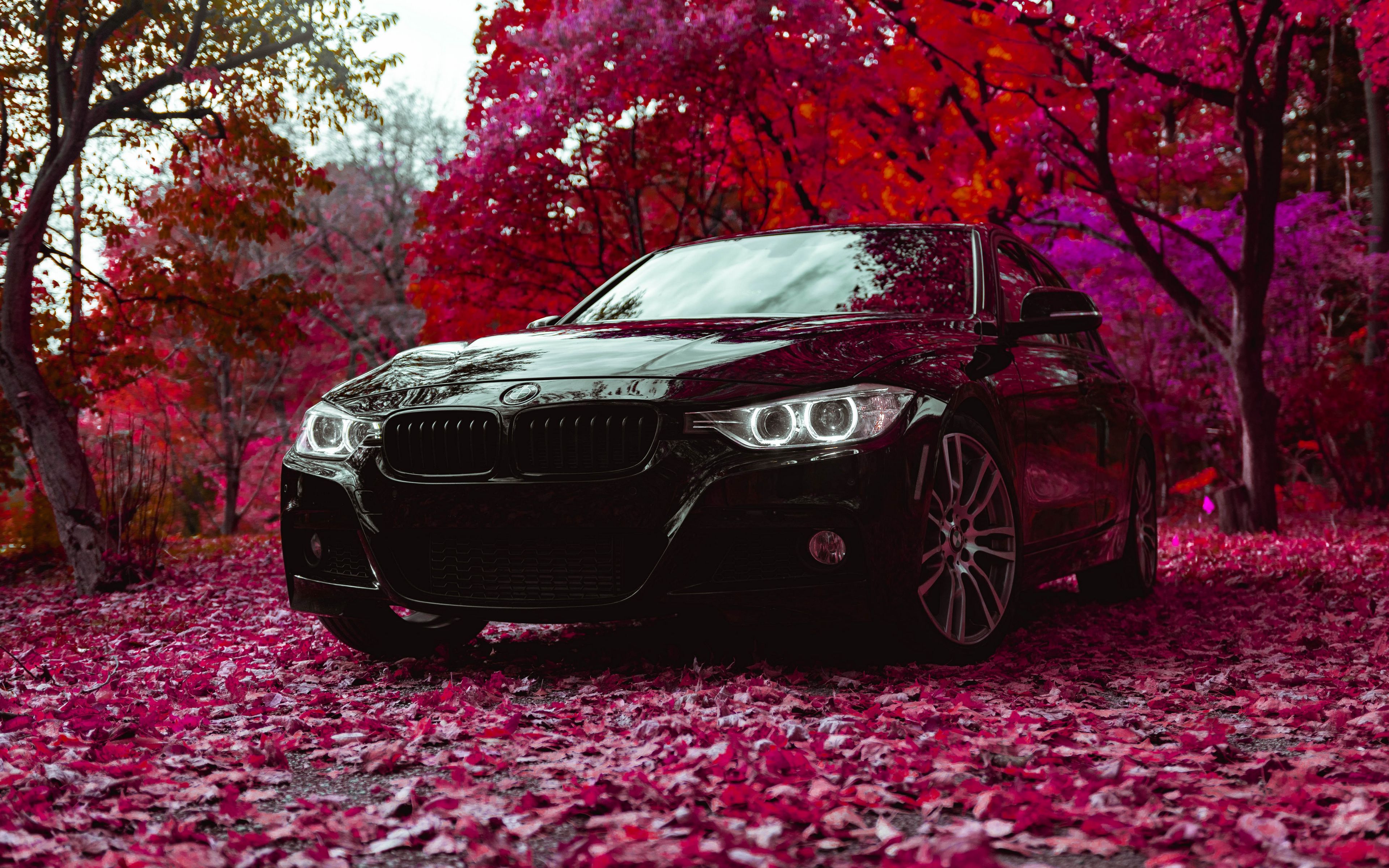 Скачать 3840x2400 bmw f30 335i, bmw, машина, черный, вид спереди обои,  картинки 4k ultra hd 16:10