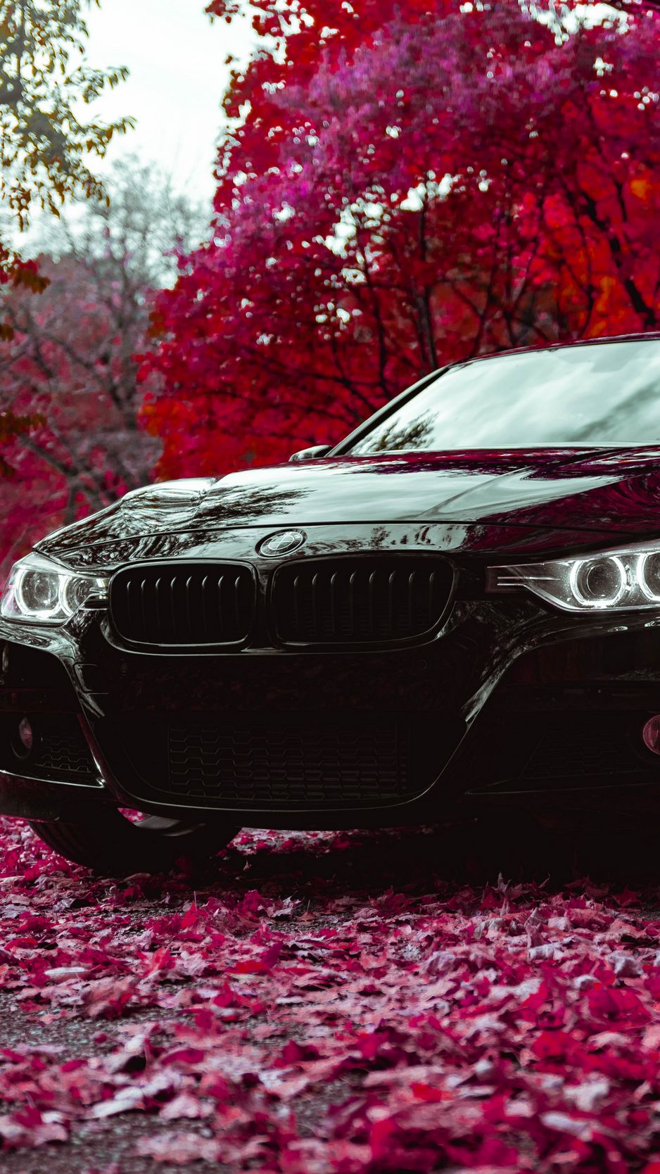 Скачать 938x1668 bmw f30 335i, bmw, машина, черный, вид спереди обои,  картинки iphone 8/7/6s/6 for parallax