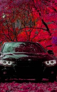 Превью обои bmw f30 335i, bmw, машина, черный, вид спереди, лес