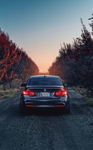 Превью обои bmw, f80, 335i, вид сзади