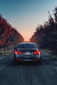 Превью обои bmw, f80, 335i, вид сзади