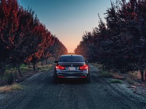 Превью обои bmw, f80, 335i, вид сзади