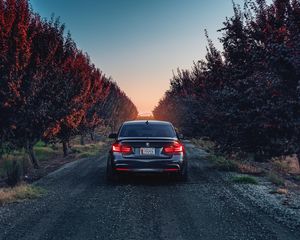 Превью обои bmw, f80, 335i, вид сзади