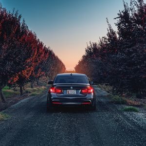 Превью обои bmw, f80, 335i, вид сзади