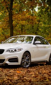 Превью обои bmw m235, bmw, автомобиль, белый, листья, осень