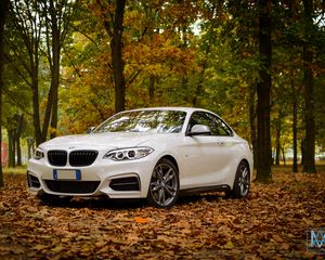 Превью обои bmw m235, bmw, автомобиль, белый, листья, осень