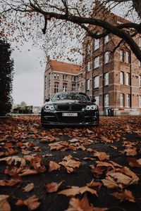 Превью обои bmw m3, bmw, автомобиль, черный, вид спереди, осень