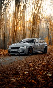 Превью обои bmw m3, bmw, автомобиль, серый, вид сбоку, лес, осень