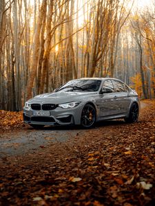Превью обои bmw m3, bmw, автомобиль, серый, вид сбоку, лес, осень