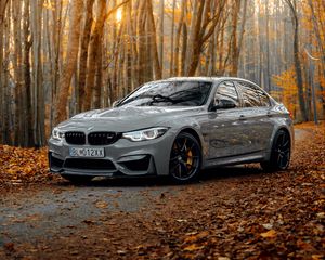 Превью обои bmw m3, bmw, автомобиль, серый, вид сбоку, лес, осень