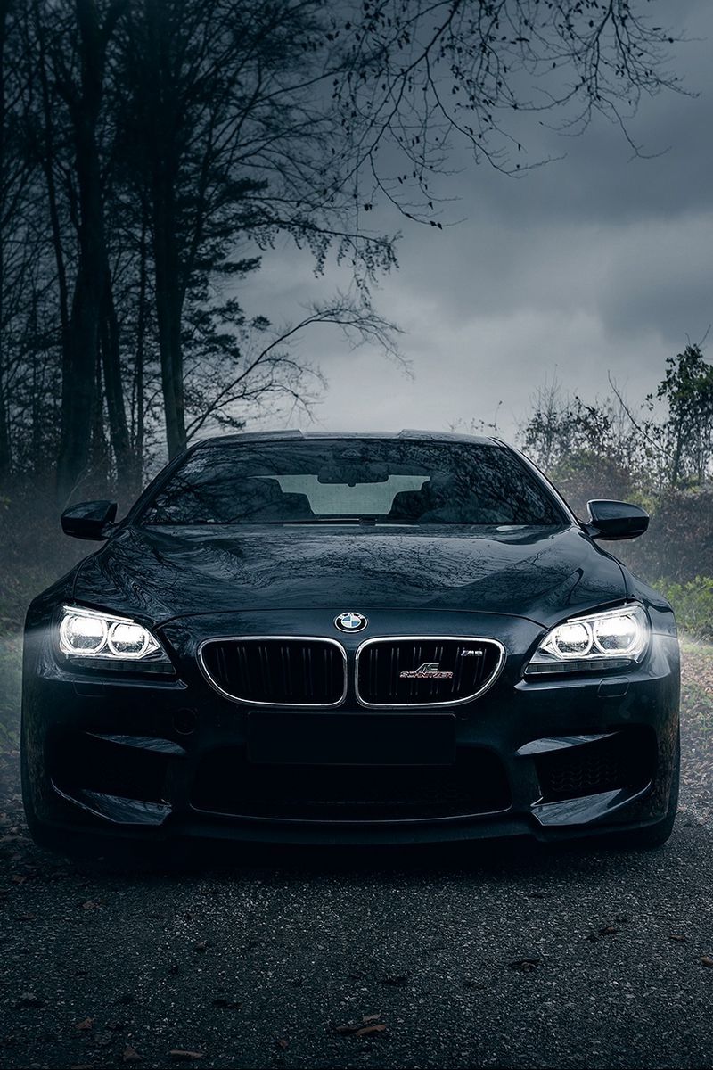 Скачать 800x1200 bmw m6, черный, лес, туман, передний бампер обои, картинки  iphone 4s/4 for parallax