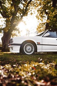 Превью обои bmw, машина, белый, вид сбоку