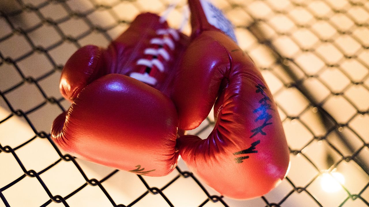 Обои боксерские перчатки, борьба, бокс