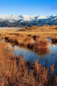 Превью обои болото, горы, трава, осень, вода