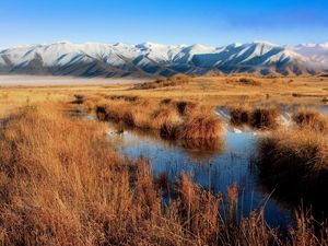 Превью обои болото, горы, трава, осень, вода