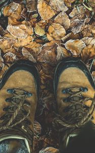 Превью обои ботинки, осень, ноги, листва