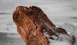 Превью обои бревно, лед, снег, природа