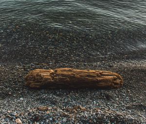 Превью обои бревно, побережье, галька, море