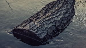 Превью обои бревно, вода, солнце, закат, отражение