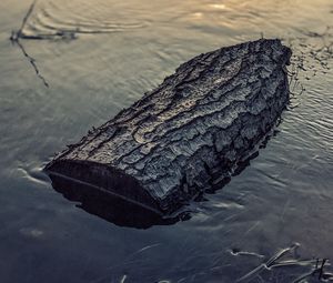 Превью обои бревно, вода, солнце, закат, отражение
