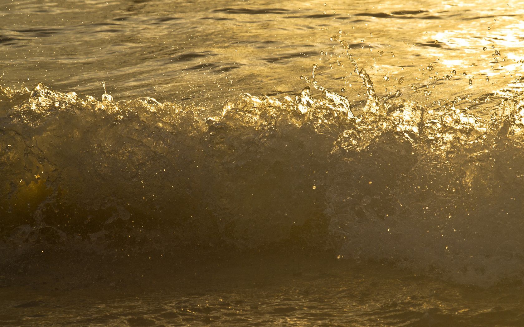 Коричневая вода. Золотое море. Море золота. Море с золотом. Желто коричневая вода