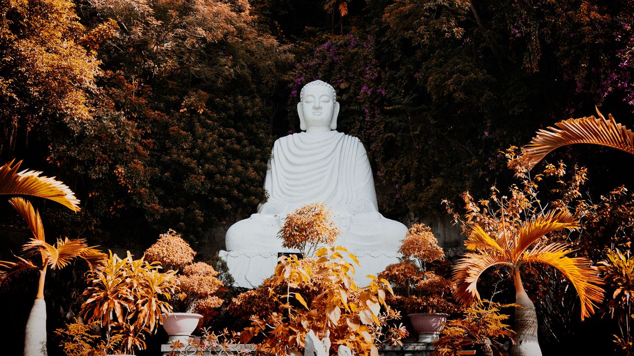 Обои будда, буддизм, гармония, скульптура, деревья, растения