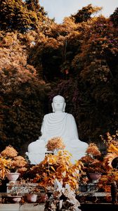 Превью обои будда, буддизм, гармония, скульптура, деревья, растения