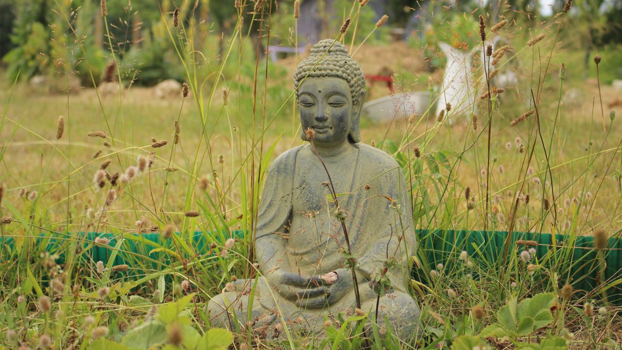 Обои будда, буддизм, медитация, трава