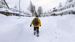 Превью обои буффало, снегопад, heavy snow keeps falling, 2014