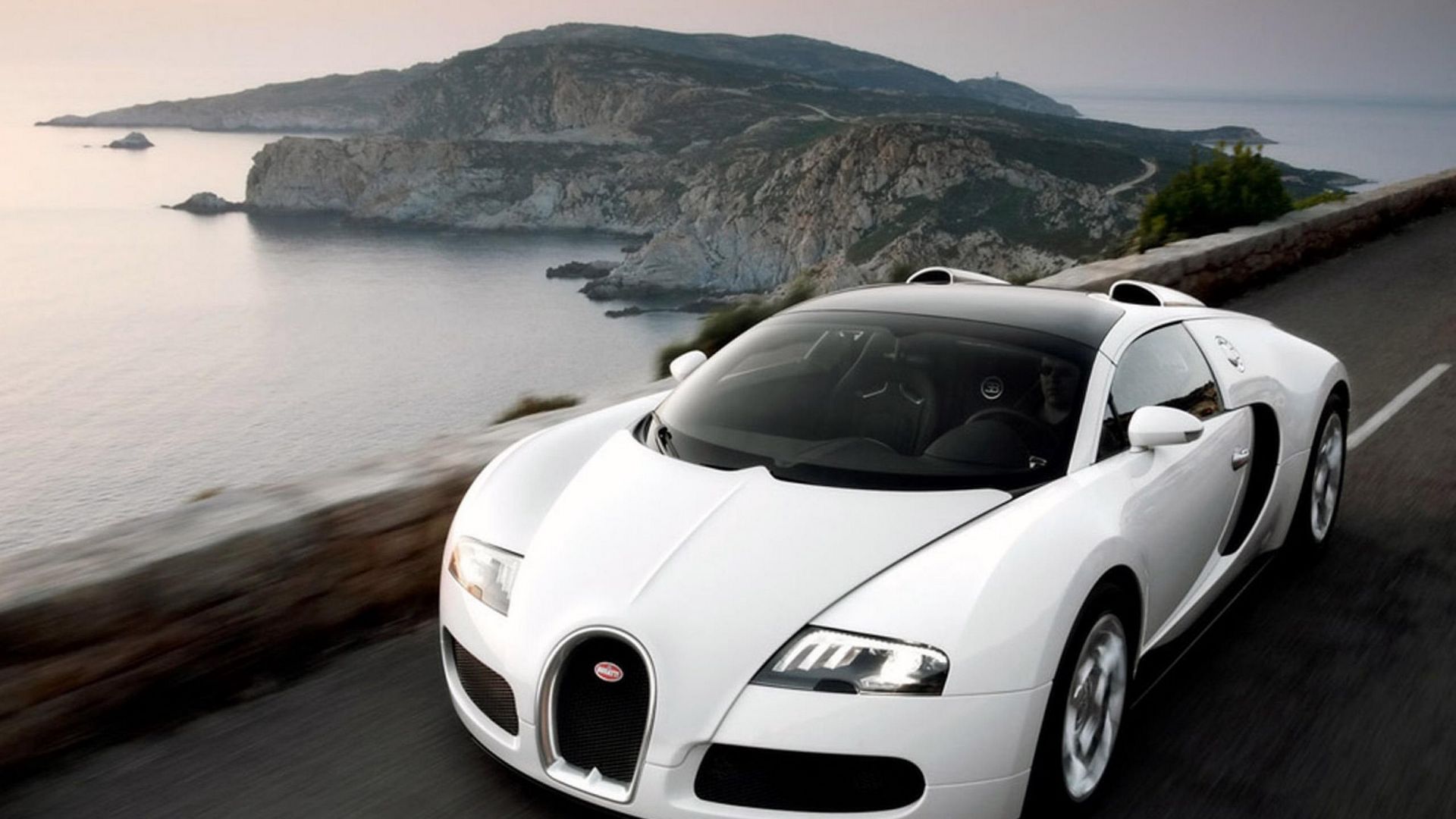 Скачать 1920x1080 bugatti, белый, авто, скорость обои, картинки full hd,  hdtv, fhd, 1080p