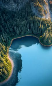 Превью обои бухта, море, деревья, лес, вид сверху