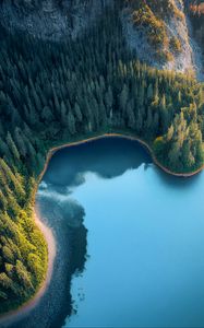 Превью обои бухта, море, деревья, лес, вид сверху