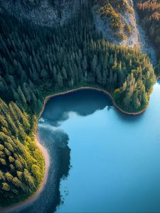 Превью обои бухта, море, деревья, лес, вид сверху