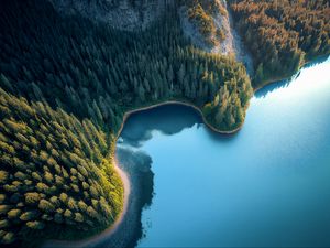 Превью обои бухта, море, деревья, лес, вид сверху