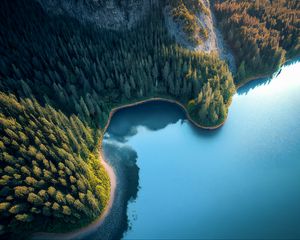 Превью обои бухта, море, деревья, лес, вид сверху