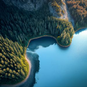 Превью обои бухта, море, деревья, лес, вид сверху