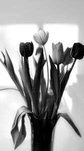 Превью обои букет, тюльпаны, цветы, ваза, черно-белый