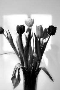 Превью обои букет, тюльпаны, цветы, ваза, черно-белый