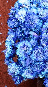 Превью обои букет, цветы, синий, лепестки, цветение
