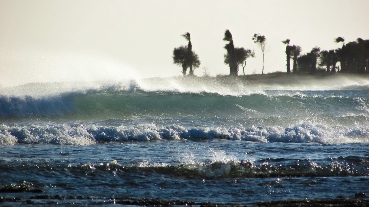 Обои буря, море, волны, пальмы