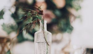 Превью обои бутылка, букет, ветки, ваза, книга
