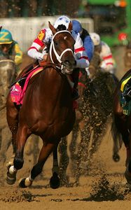 Превью обои california chrome, kentucky derby, dominating fashion