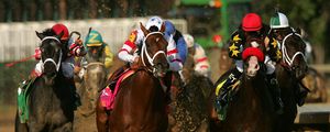 Превью обои california chrome, kentucky derby, dominating fashion