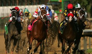 Превью обои california chrome, kentucky derby, dominating fashion