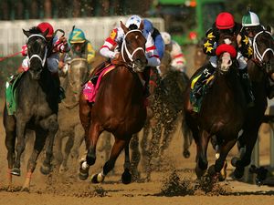 Превью обои california chrome, kentucky derby, dominating fashion