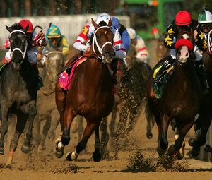 Превью обои california chrome, kentucky derby, dominating fashion