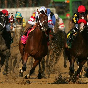 Превью обои california chrome, kentucky derby, dominating fashion